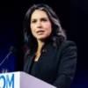 Tulsi Gabbard (Michael Brochstein / SOPA Images via Reuters file)