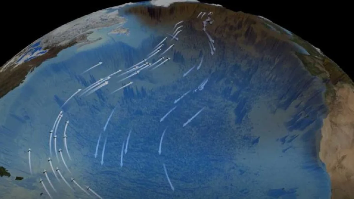 Ilustrasi Atlantic Meridional Overturning Circulation (AMOC), arus laut di Samudera Atlantik yang mengatur kes