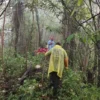 Proses pencarian dua pendaki hilang di Gunung Agung, Bali.(Dok. Tim SAR)