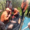 Tim SAR evakuasi pendaki gunung yang tersesat selama dua hari di areal Gunung Agung Bali