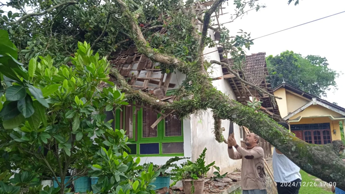 Angin kencang yang melanda di sebagian Kelurahan Kauman Kidul Kecamatan Sidorejo Kota Salatiga. Pohon roboh me