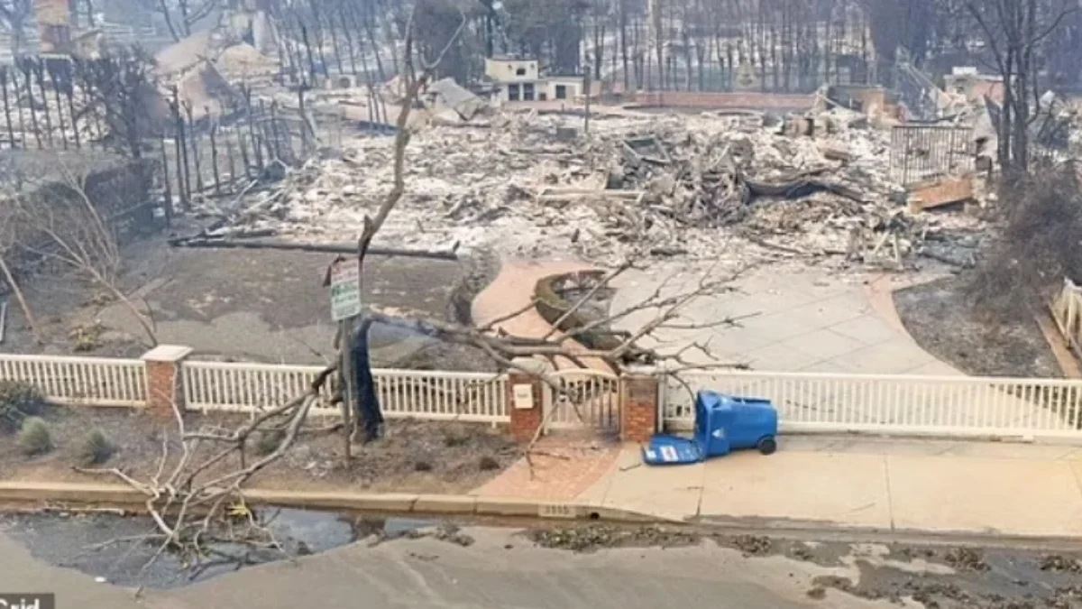 Benda biru utuh dalam kebakaran di Los Angeles