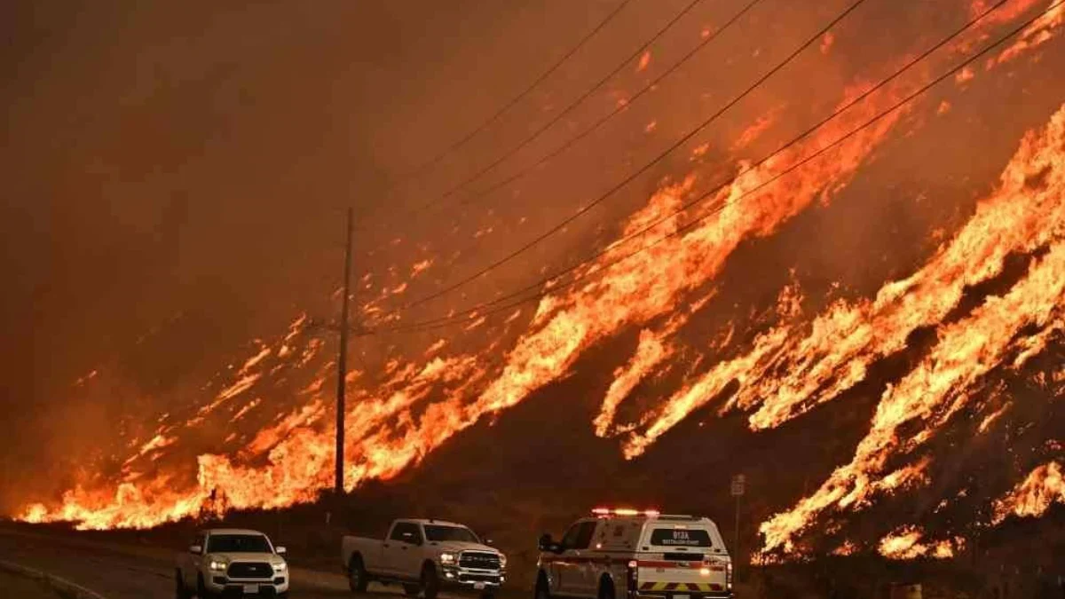 Kebakaran hutan Los Angeles (AFP)