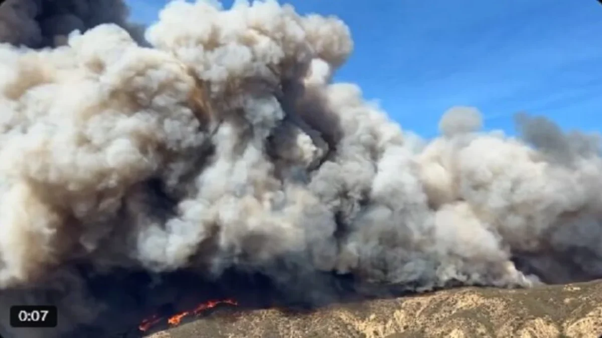 Kebakaran hutan di kawasan baru Los Angeles (X/@@I_legalthinker)