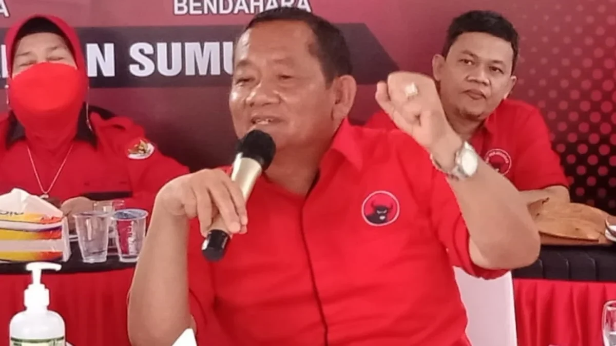 Ketua DPD PDIP Sumut, Rapidin Simbolon/Ist