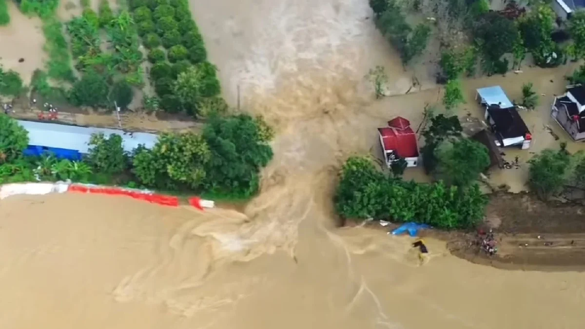 Pantauan udara tanggul Sungai Tuntang jebol di Desa Baturagung, Kecamatan Gubug, Kabupaten Grobogan, Jateng. F