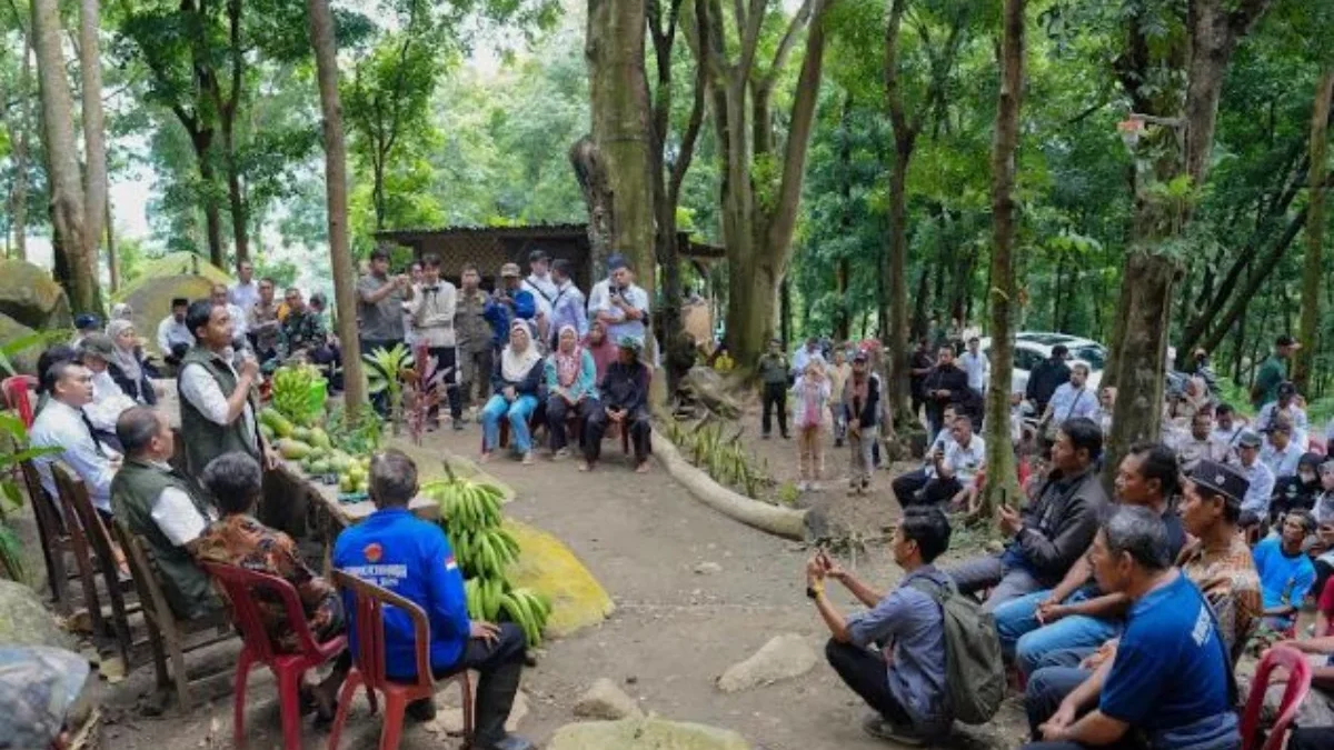 Menteri Kehutanan (Menhut) Raja Juli Antoni