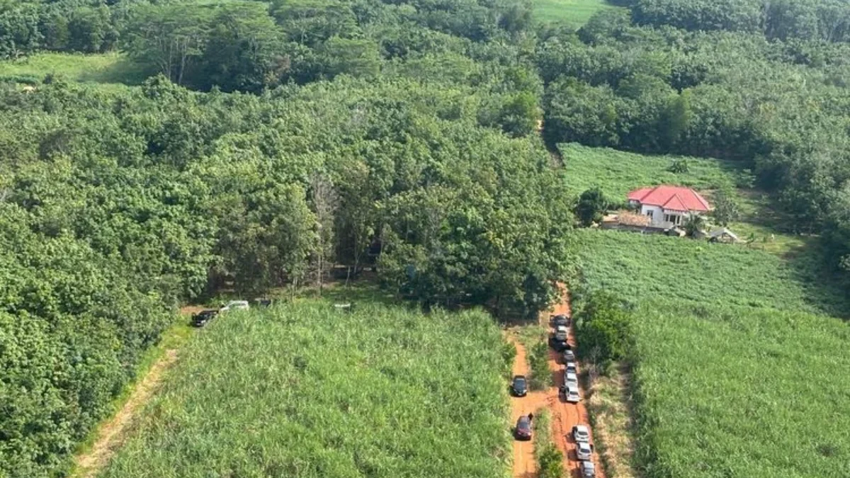 Lokasi sabung ayam yang menjadi lokasi penembakan 3 anggota polisi di Way Kanan, Selasa (18/3/2025).(DOK. Huma