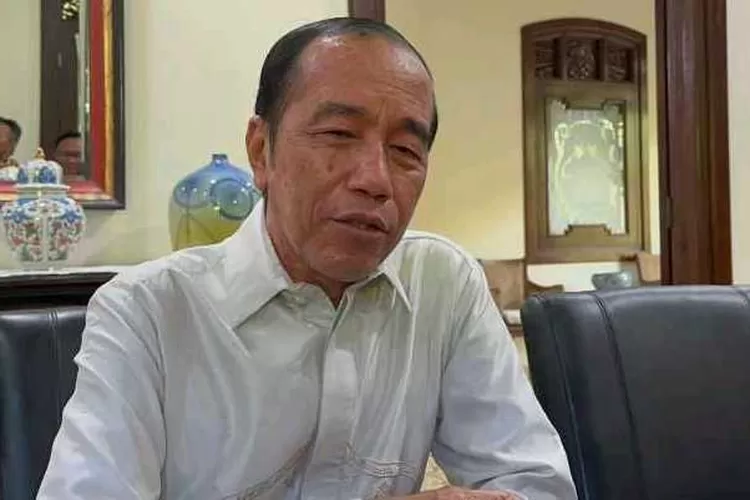 Presiden ke 7 RI Joko Widodo (Endang Kusumastuti)