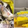 Penampakan uang 1 juta ringgit (Rp 3,8 miliar) yang dibakar manajer proyek diduga untuk menghilangkan barang b