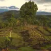 Situs Megalitikum Gunung Padang