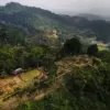 Situs Megalitikum Gunung Padang