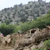 Sedikitnya 800 orang meninggal dunia dan 1.300 terluka akibat gempa bumi di Afghanistan, pada 1 September 202
