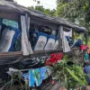 Bus Rombongan Rumah Sakit Bina Sehat Jember Kecelakaan di Jalur Bromo Probolinggo, 8 Orang Dilaporkan Meningga