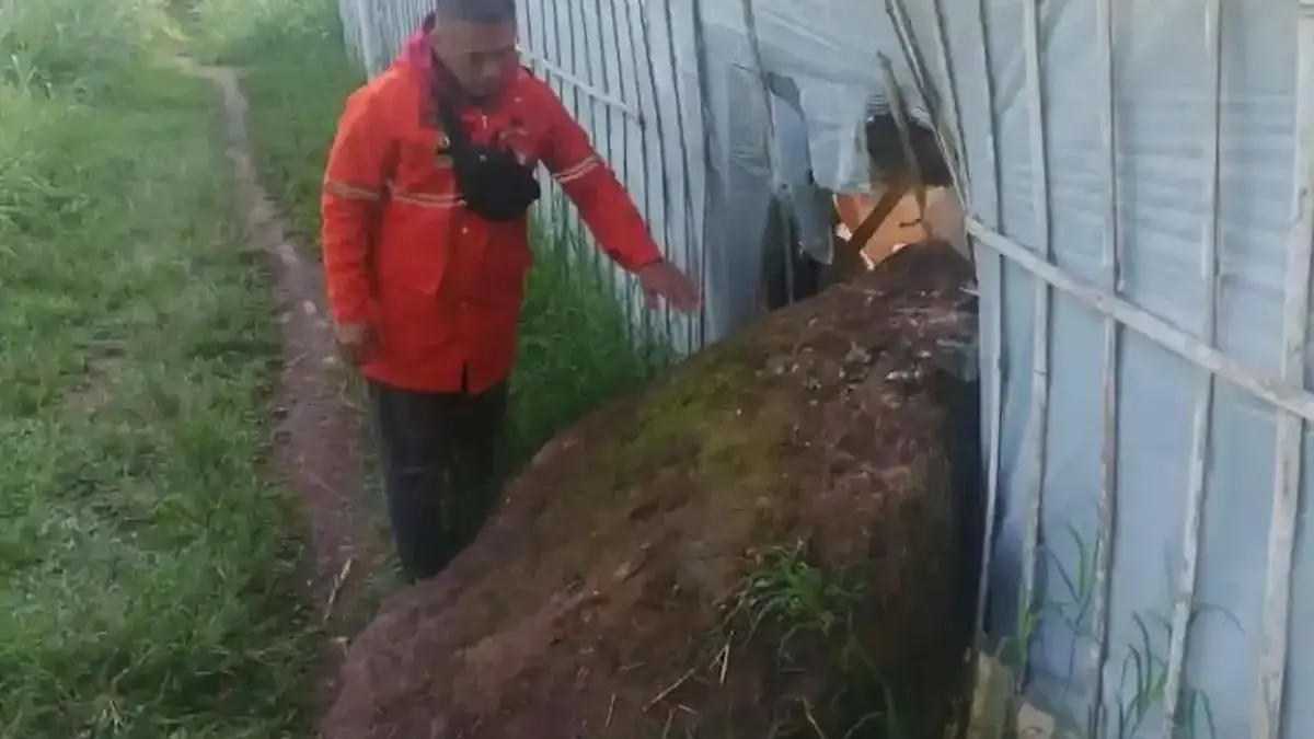 Batu Besar Jatuh dari Tebing Gunung Batu Lembang, BPBD Tegaskan bukan akibat Aktivitas Sesar Lembang Petugas Lapangan BPBD Bandung Barat, Suheri saat melakukan asesmen di Gunung Batu, Lembang, Bandung Barat. (Is