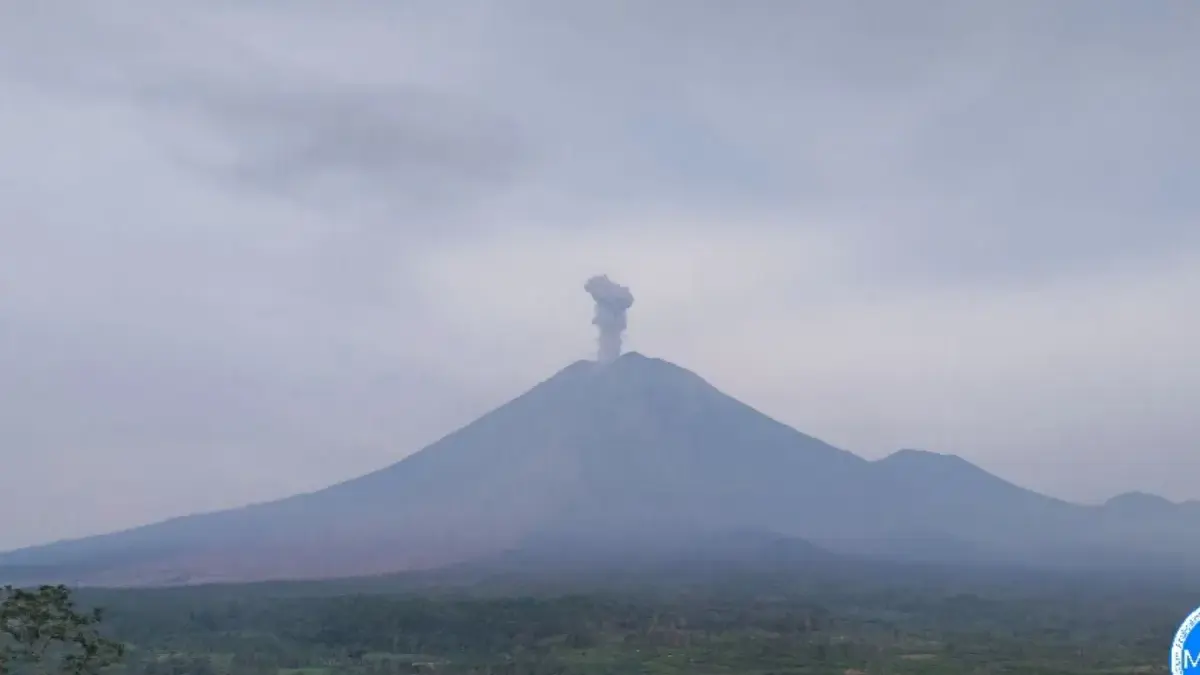 Gunung Semeru erupsi dengan tinggi letusan mencapai 900 meter di atas puncak pada Rabu (31/12/2025) pagi. (PVM