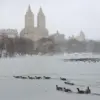 Angsa-angsa di danau yang tertutup salju di Central Park, New York City, 27 Desember 2025. (Fotografer: Gary H