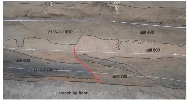 Ilustrasi hasil trencing (penggalian paritan) hasil gerakan aktif Sesar Lembang. (Dok. BRIN)