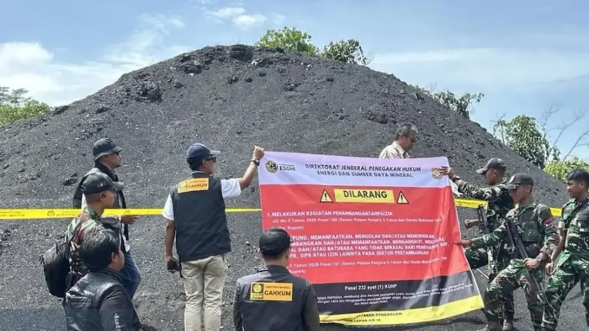 Penyitaan 70 ribu ton batu bara di Kalimantan Timur.Foto: (Dok. Ditjen Penegakan Hukum Kementerian ESDM)